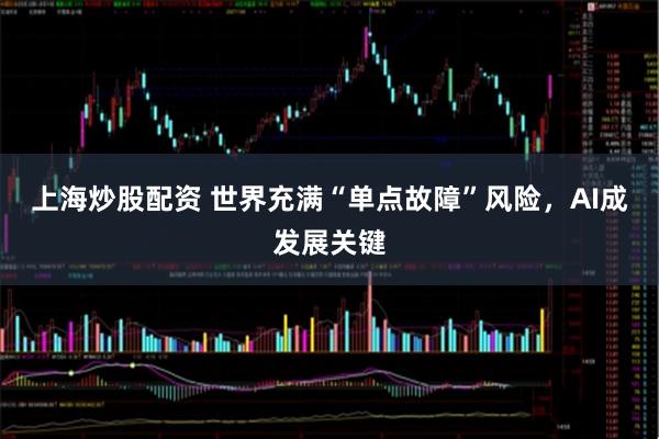 上海炒股配资 世界充满“单点故障”风险，AI成发展关键